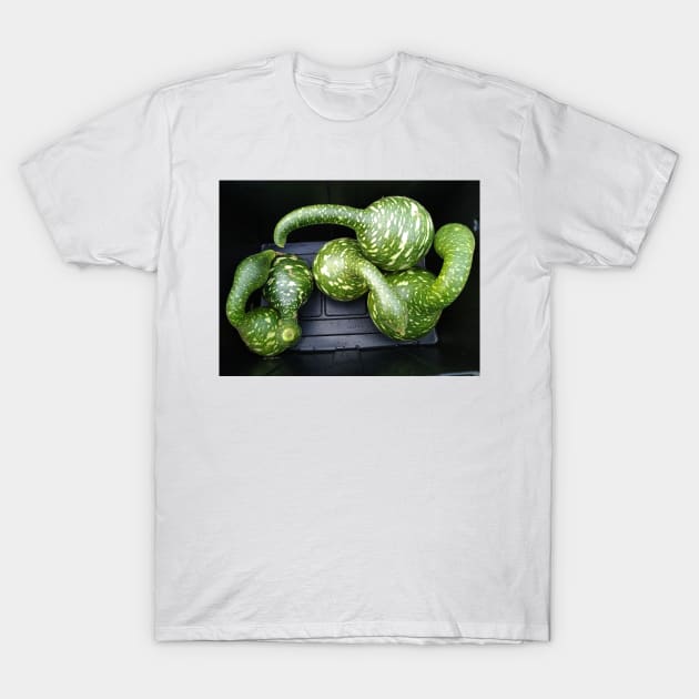 Speckled Swan Gourd T-Shirt by Reilly's Fine Art and Designs